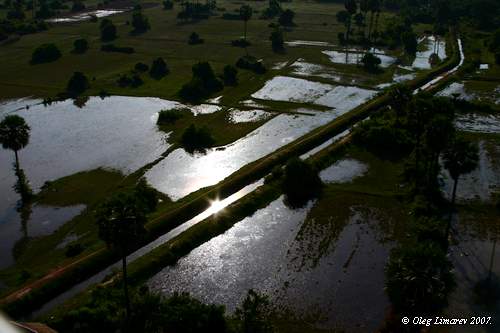 Рисовые поля вдоль канала в Ангкоре. (Камбоджа. Фото с воздушного шара Лимарева Олега)