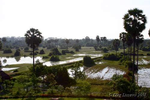 Окресности Ангкора. Камбоджа. (фото Лимарева Олега)