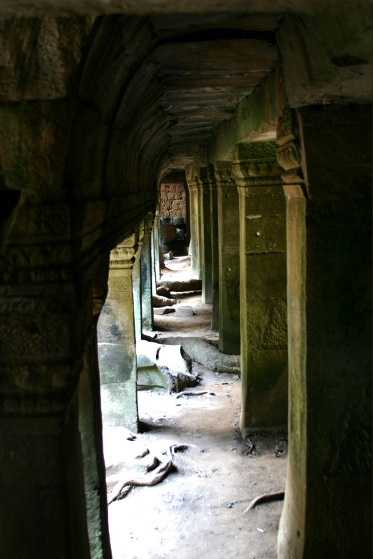 Храма Та-Пром. Ангкор. Камбоджа. (фото Лимарева Олега)