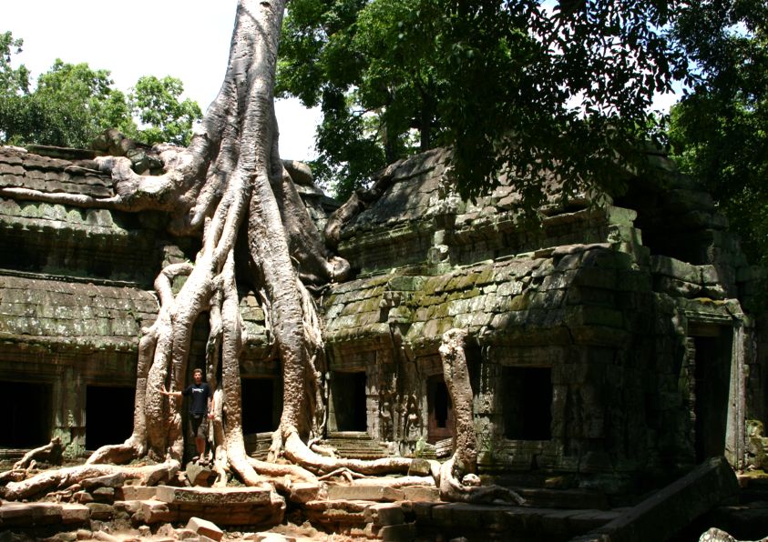 Храма Та-Пром. Ангкор. Камбоджа. (фото Лимарева В.Н.)