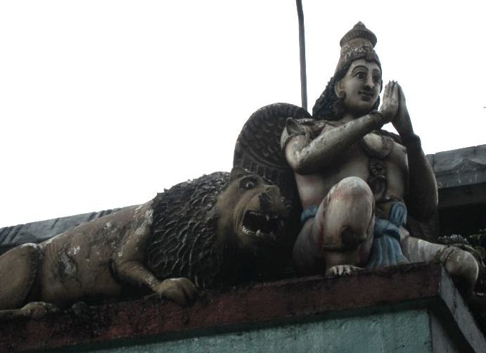 Молящийся индус. Индуисткий храм в Шри Ланке. (фото Лимарева В.Н.)